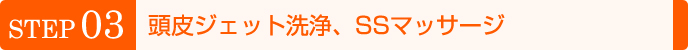 頭皮ジェット洗浄、SSマッサージ