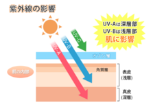 紫外線と頭皮