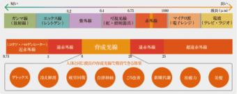 頭皮の育成光線について